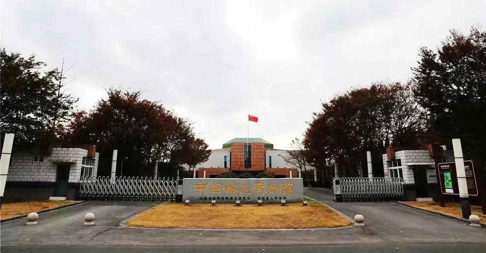 巖星特刊 | 在熱點之后，我們來看看這一座博物館插圖(1)