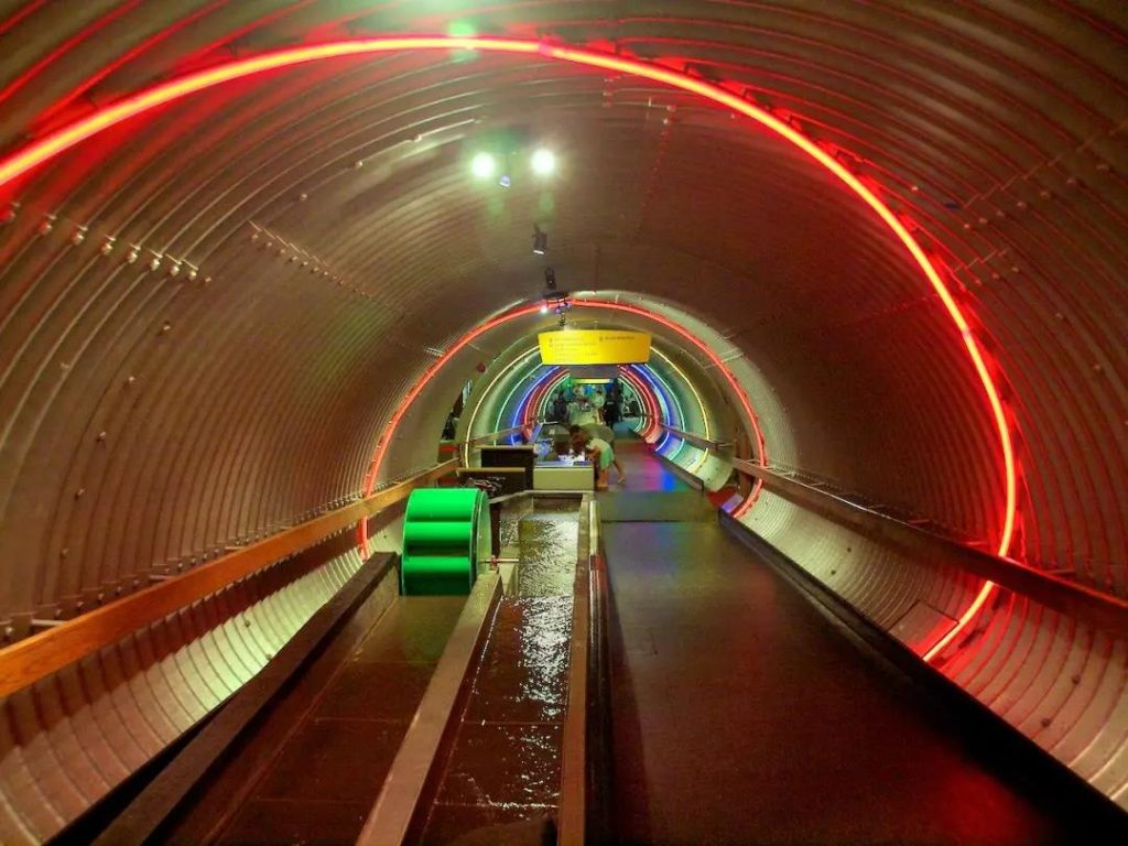 巖星特刊 | 以兒童的視角看博物館，解鎖新玩法插圖(5)